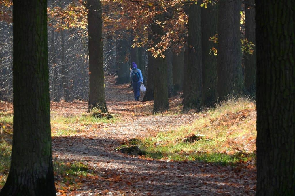 man in woods