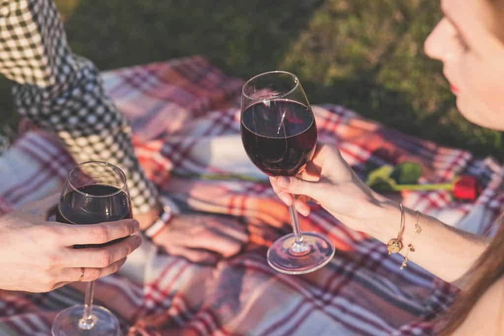 man and women cheers in picnic